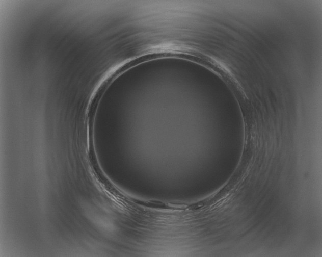 X0000060221323200511041154