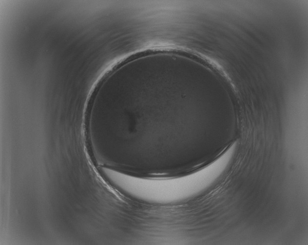 X0000060221327200511041154