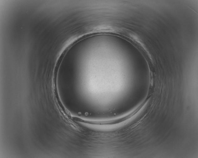 X0000060221328200511041154