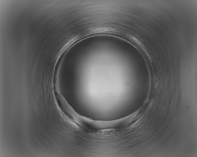 X0000060221330200511041154