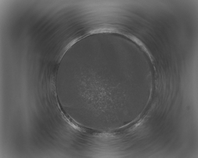X0000060221337200511041154