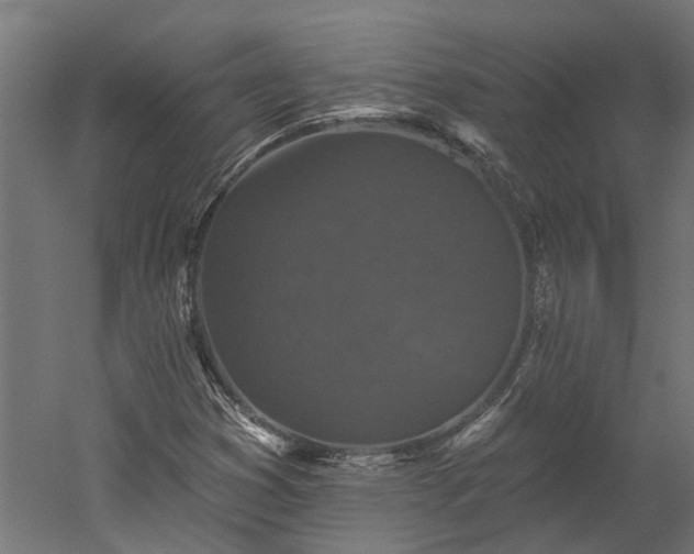 X0000060221353200511041153