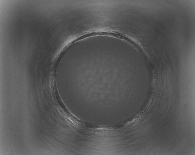 X0000060221359200511041153
