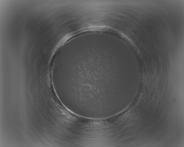 X0000060221362200511041153