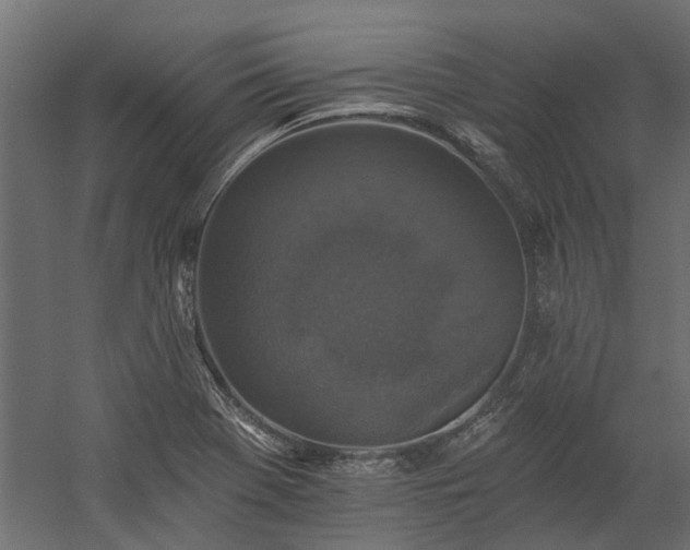 X0000060221369200511041153
