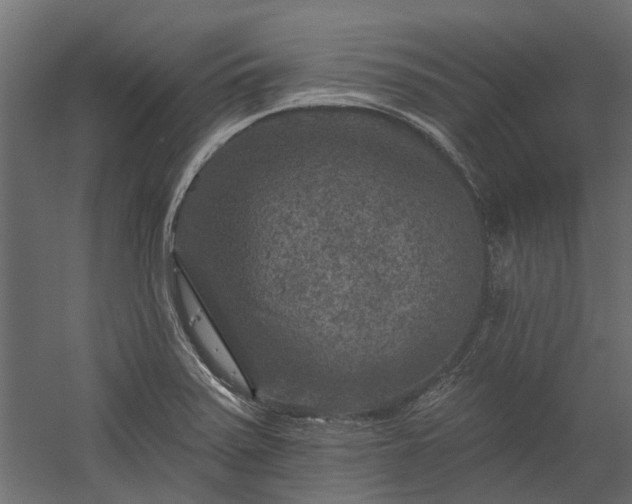 X0000060221371200511041153