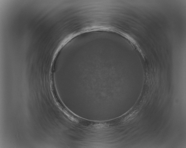 X0000060221373200511041153