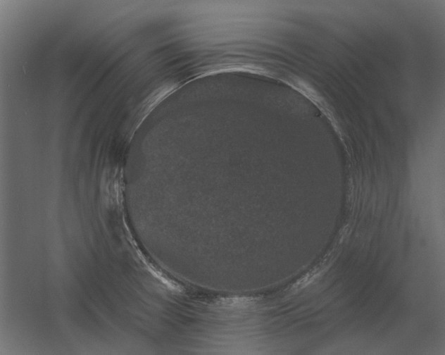 X0000060221377200511041153