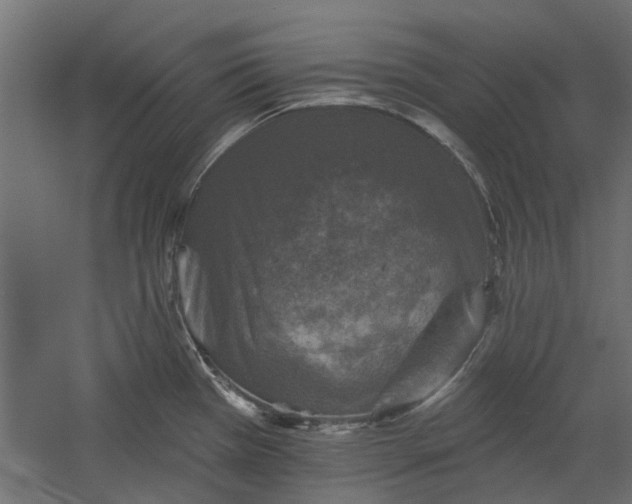 X0000060221385200511041153