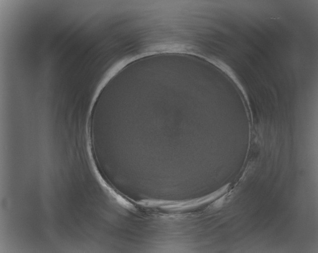 X0000060221389200511041153