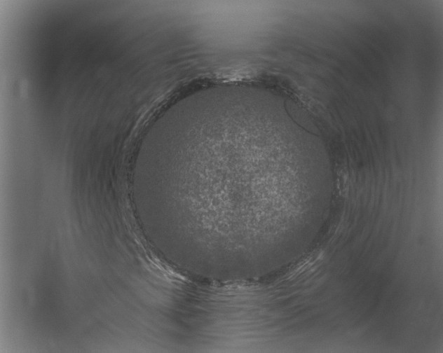X0000060221393200511041152