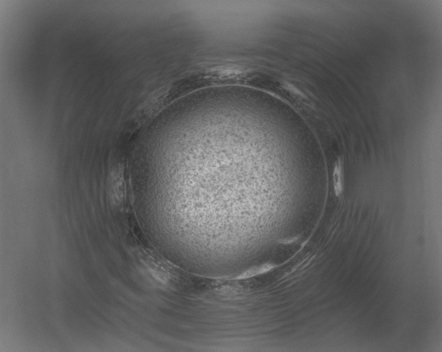 X0000060221395200511041152