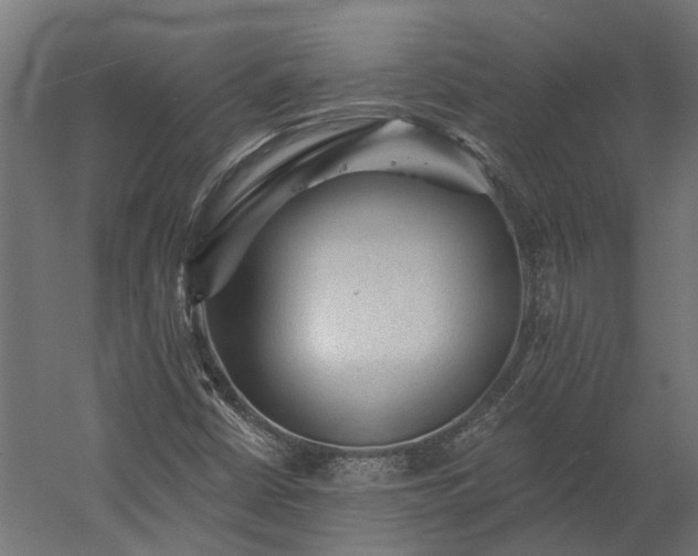 X0000060221402200511041152