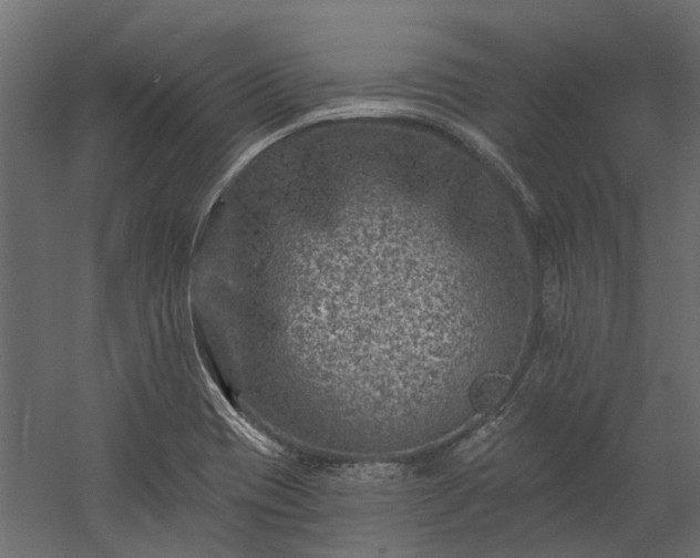 X0000060221417200511041152