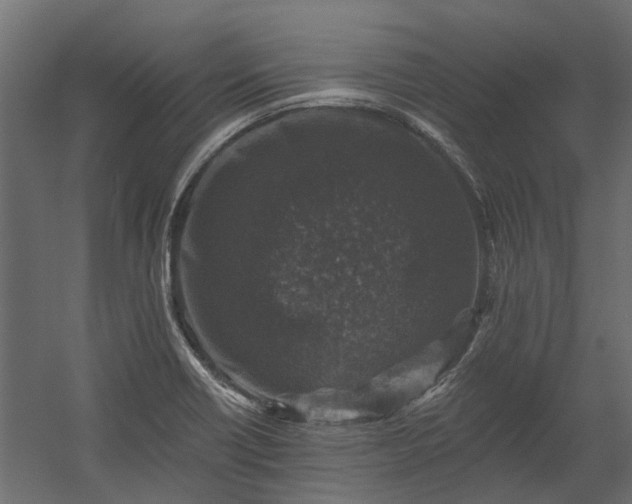 X0000060221418200511041152