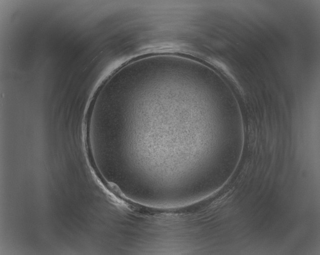 X0000060221424200511041152
