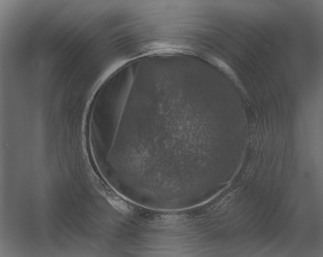 X0000060221427200511041152