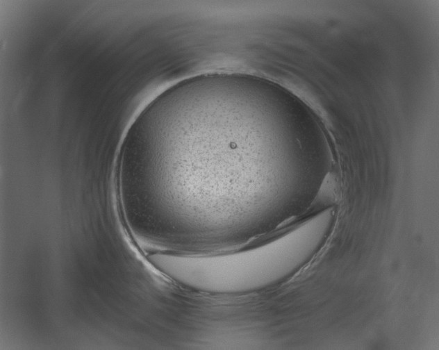 X0000060221440200511041152