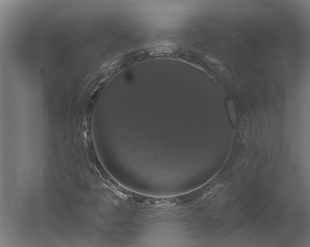 X0000060221445200511041152