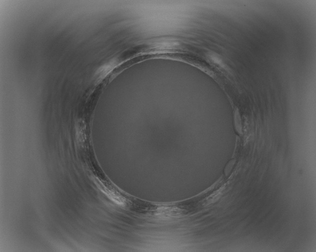X0000060221449200511041152