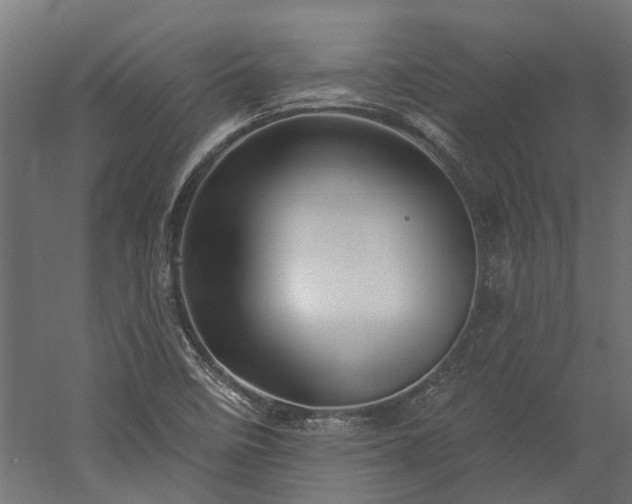 X0000060221458200511041151