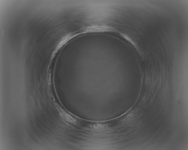 X0000060221459200511041151