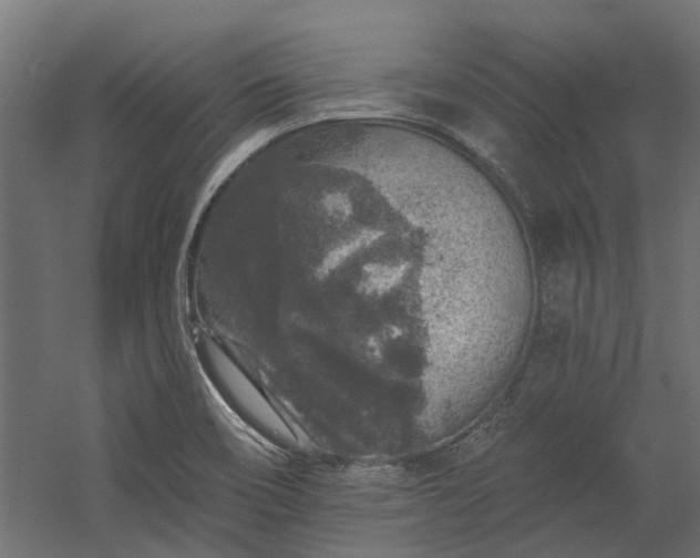 X0000060221466200511041151