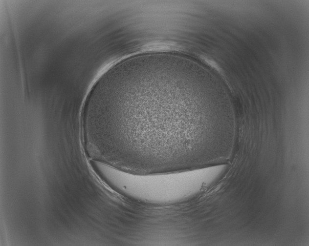 X0000060221467200511041151