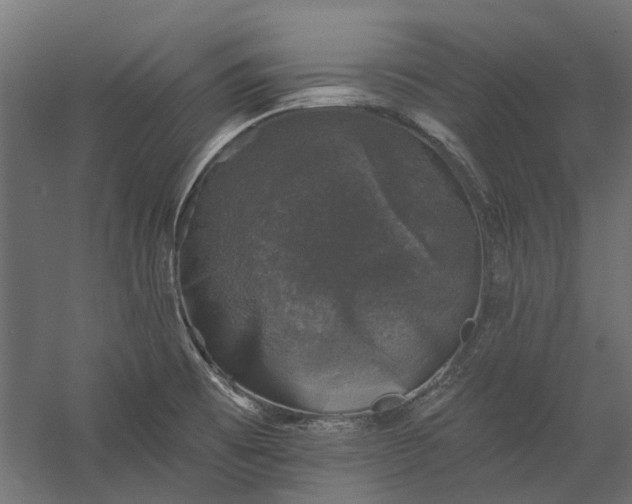 X0000060221473200511041151