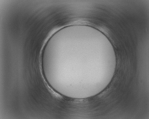 X0000060221478200511041151
