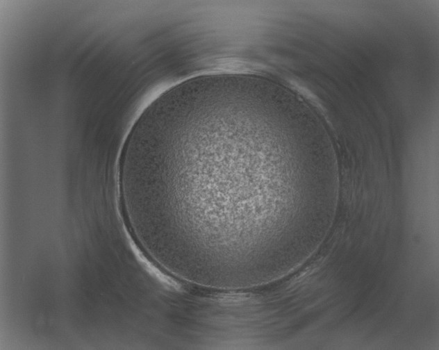 X0000060221479200511041151