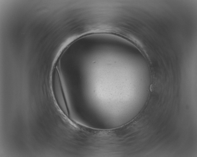 X0000060221480200511041151