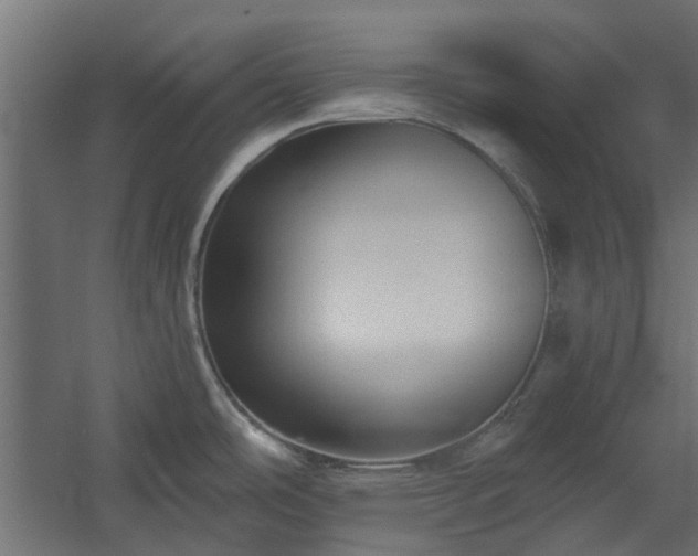 X0000060221486200511041151