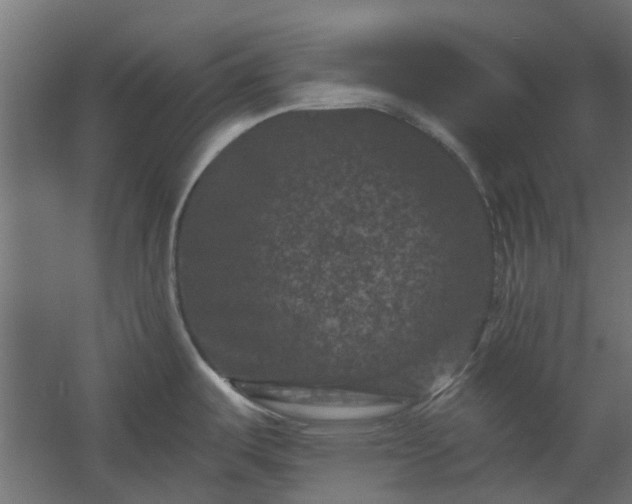 X0000060221487200511041151