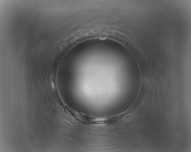 X0000060221490200511041150
