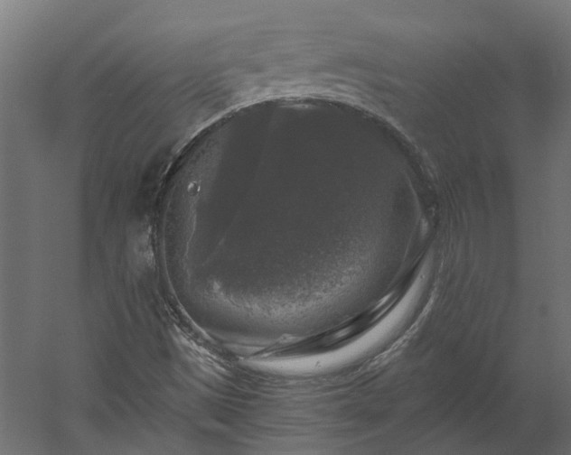X0000060221497200511041150