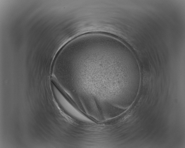 X0000060221513200511041150