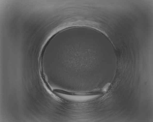 X0000060221515200511041151
