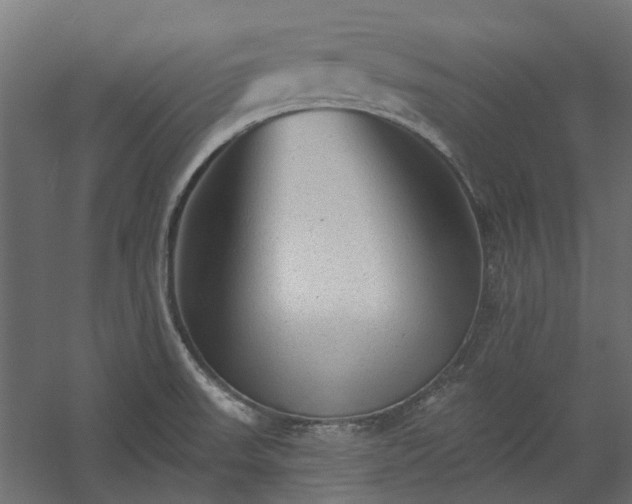X0000060221523200511041151