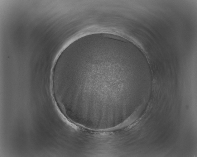 X0000060221528200511041151