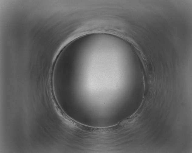 X0000060221530200511041151