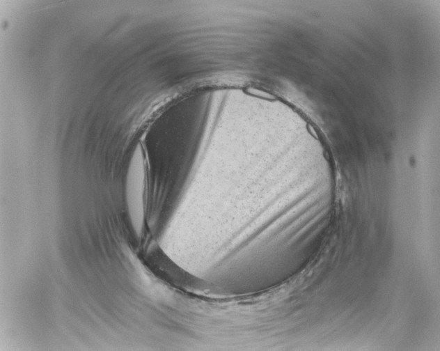 X0000060220013200511111849