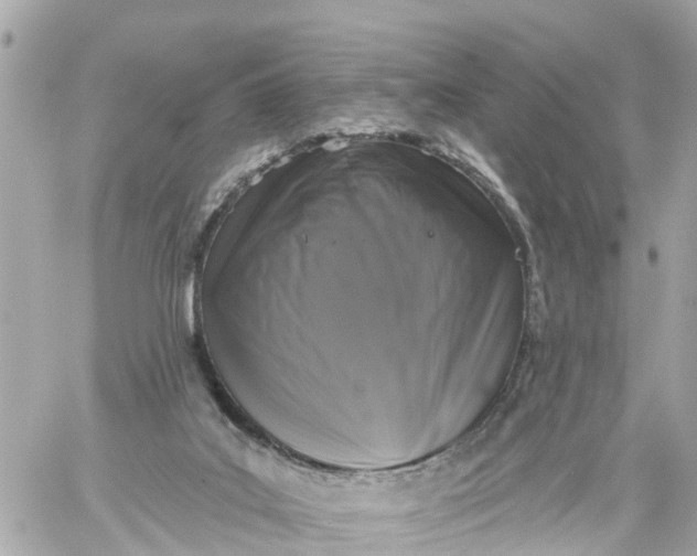 X0000060220019200511111849