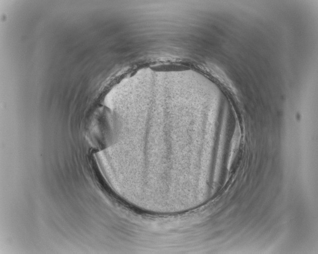 X0000060220021200511111849