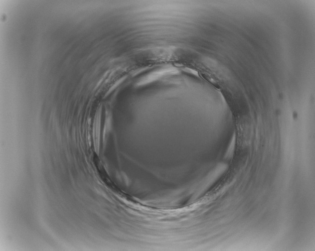 X0000060220035200511111848