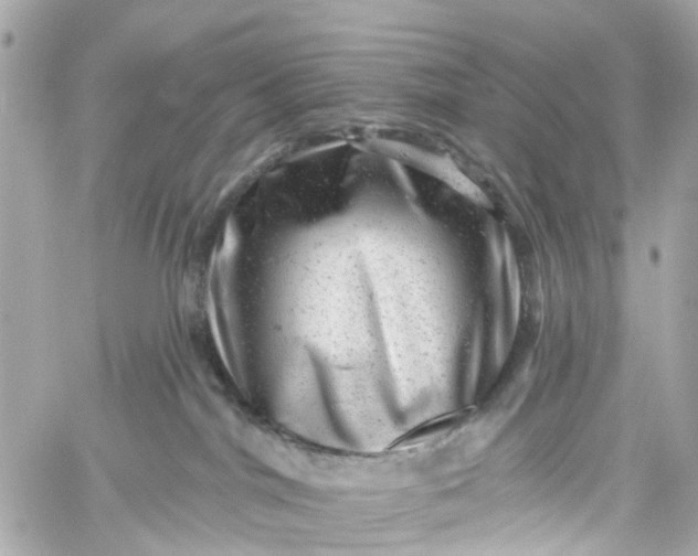 X0000060220044200511111848