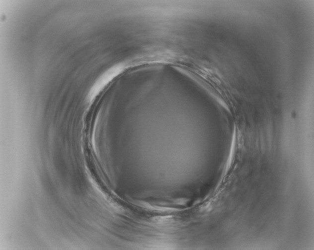 X0000060220054200511111848