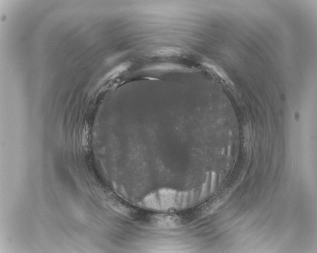 X0000060220073200511111848