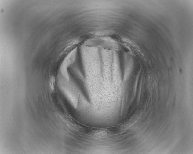 X0000060220075200511111848