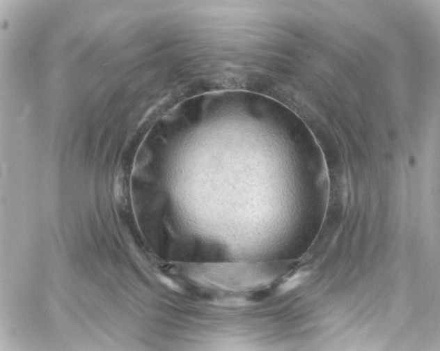 X0000060220088200511111848